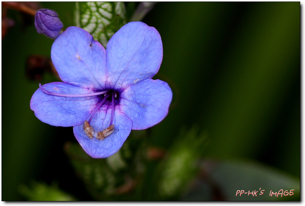 5D3_1577-F